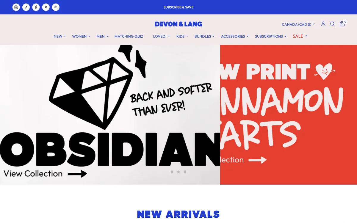 Devon Lang website screenshot